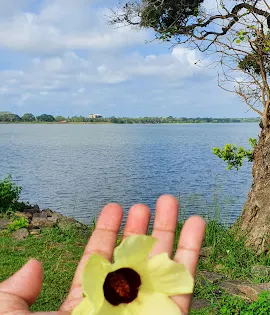 Tissa Wewa