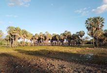 Barragem do Mirador景点图片