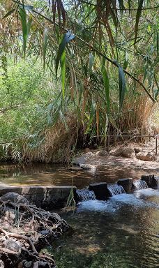 Majrase Nature Reserve-Emek HaYarden
