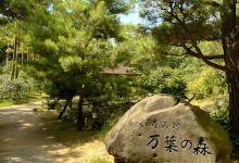 Manyono Mori景点图片