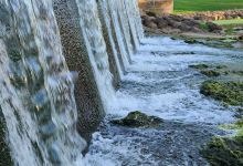 Brayton Park景点图片