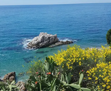 Playa Roca Grossa