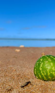 Lake Benanee-尤斯顿