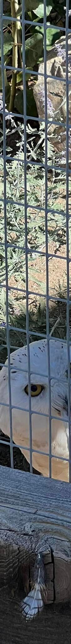 大熊湖动物园-大熊湖