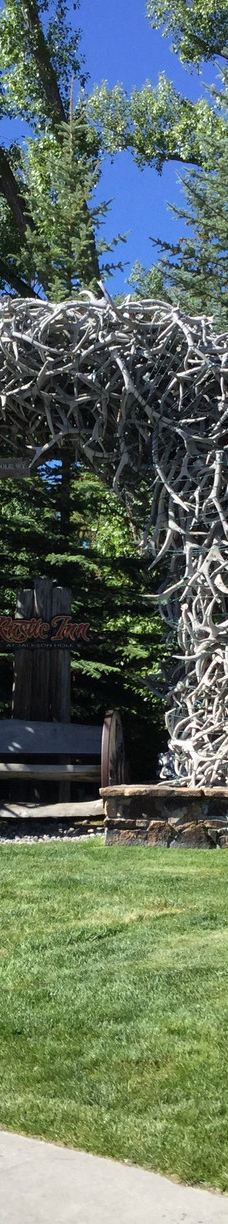 杰克逊鹿角公园-杰克逊