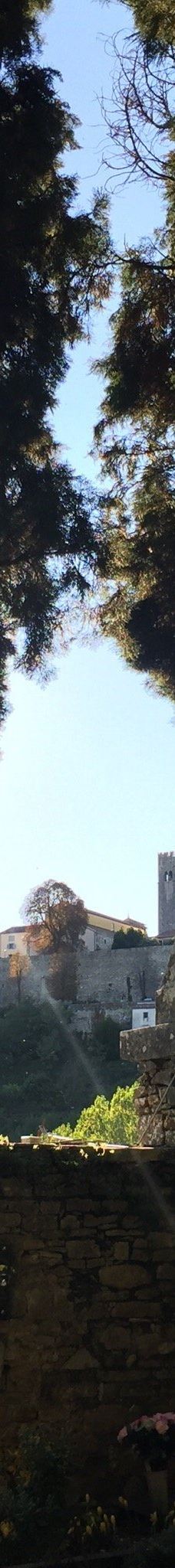 Motovun cemetery-莫托文