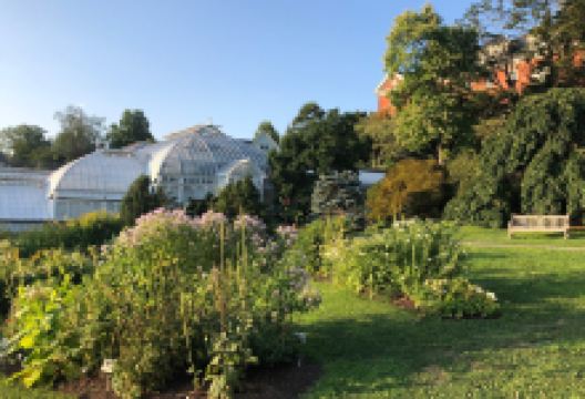 Smith College Botanic Garden景点图片