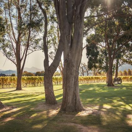 新西兰尼尔森+亚伯塔斯曼国家公园4日3晚私家团