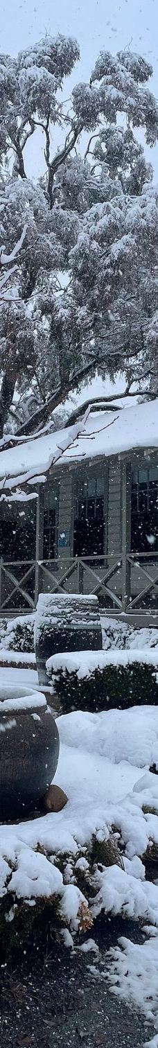 Mortimers Wines-奥兰治