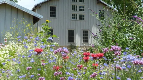 Wylie House Museum