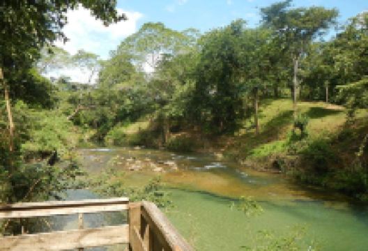 Guanacaste National Park景点图片