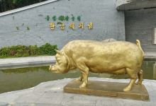 猪岛海上游乐园景点图片
