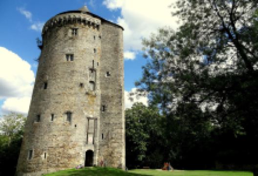 Château de Grand-Fougeray景点图片