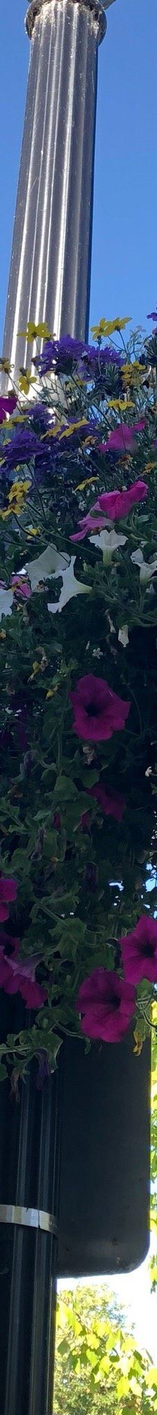 Riverfront Commemorative Park-科瓦利斯