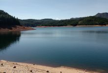 Mukurthi Dam景点图片