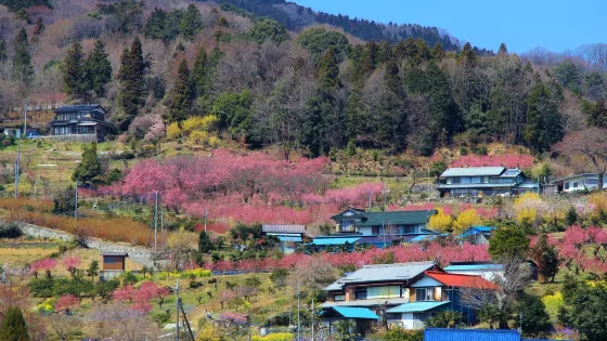Ouchizawa Hanamomonosato