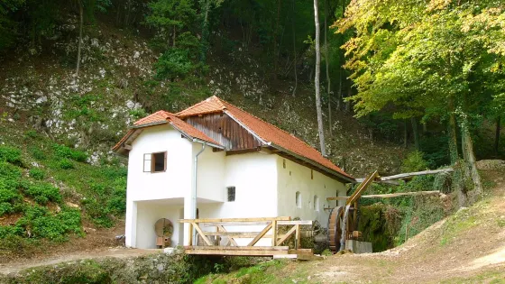 The Vovk Mill