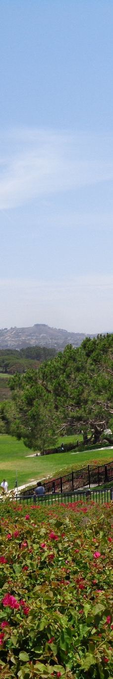 Doris Walker Overlook-达纳点