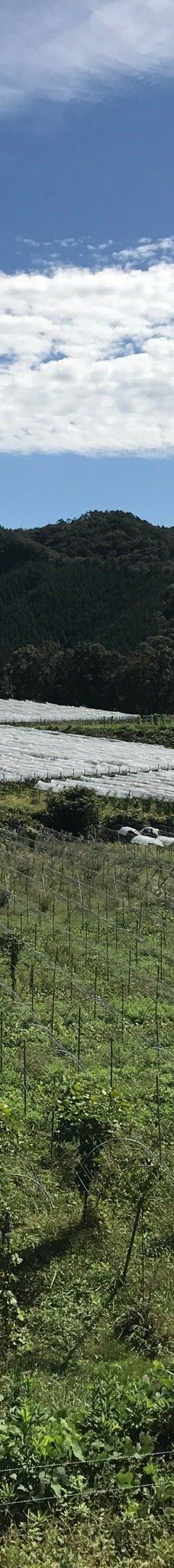 Domaine Tetta-新见市