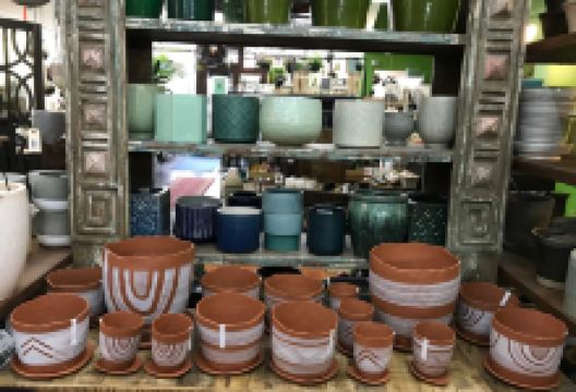 Cultivate Urban Rainforest & Gallery景点图片