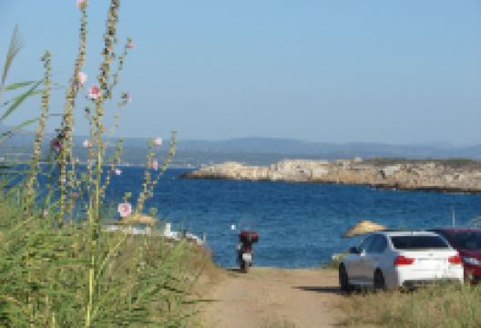 Sagir'in Bahcesi景点图片