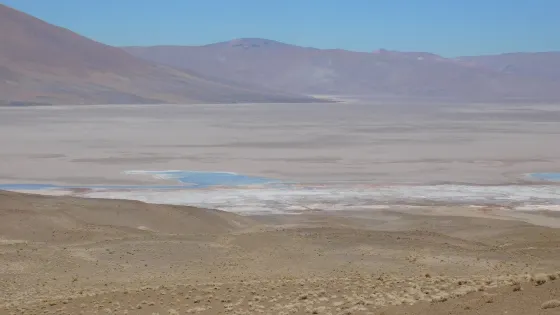 Salar del Rincon