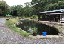 Hotchi Mountain Stream Fishing Center景点图片