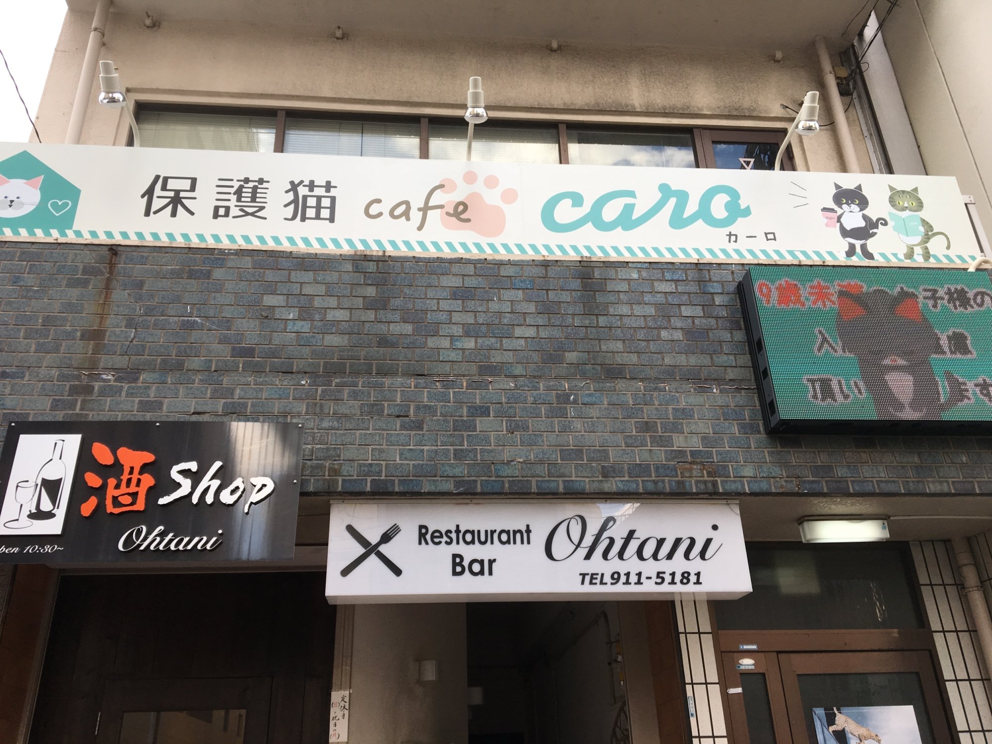 Cat Cafe Caro