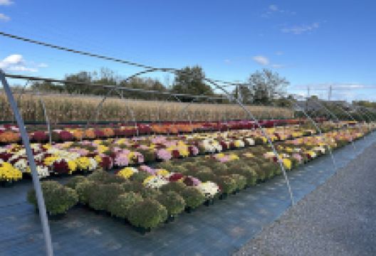 HORTICULTEUR Hervé Frédéric购物图片