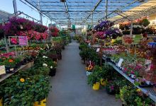 Garden Center at The Home Depot购物图片