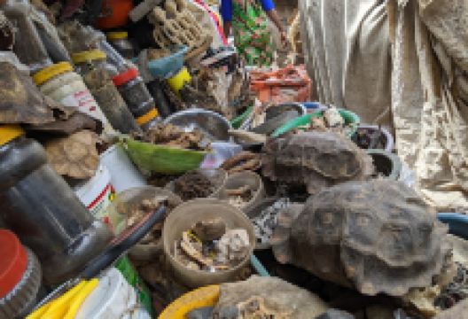 Central Market购物图片