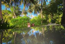 Sun Diving School景点图片