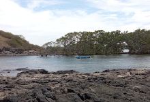 Mangrove Don Don Beach景点图片