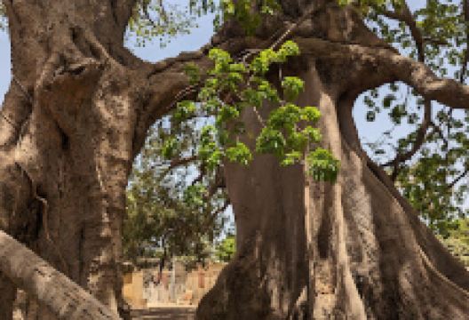 Bureau d'accueil touristique de Mar Lothie景点图片
