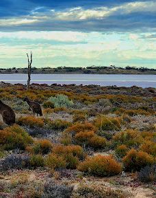 Lake Crosbie Campground-Murray-Sunset