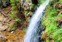 Memorial Falls Trail景点图片
