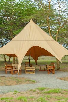 PaCo Thrill Haven-奈瓦沙