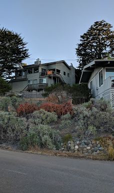 Shamel Park-坎布里亚