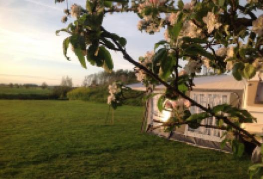 Minicamping De Frije Fries景点图片