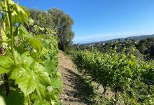 Domaine Saint-Joseph景点图片
