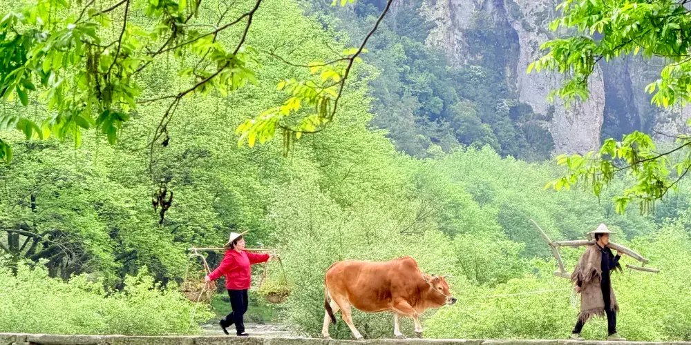 永安旅遊