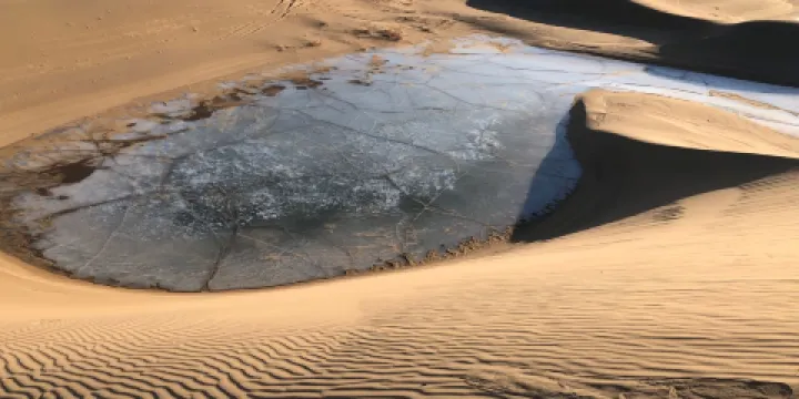 漠中胡楊滑沙區