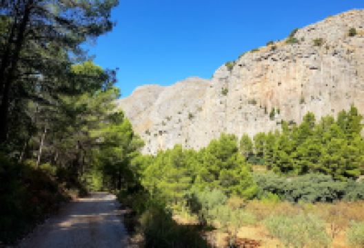 Coll de Sacarets景点图片