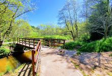 Happy Valley Nature Reserve景点图片