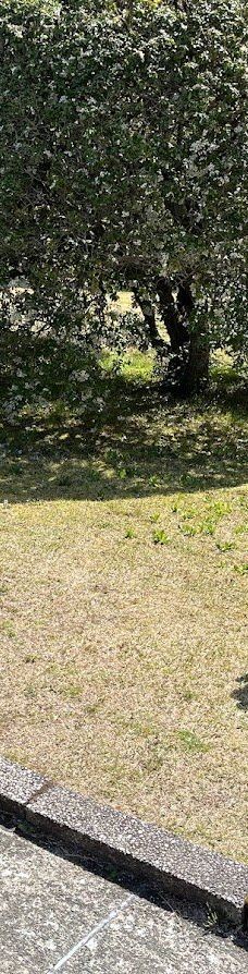 恩赐箱根公园-箱根