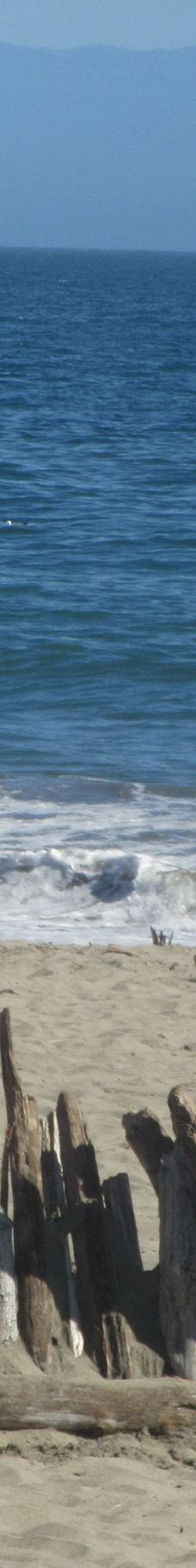 Seacliff State Beach-阿普托斯