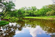 Botanical Garden of Asunción景点图片