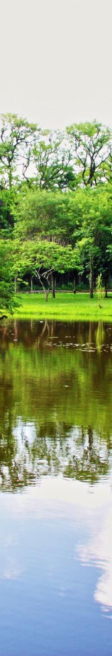 Botanical Garden of Asunción-亚松森