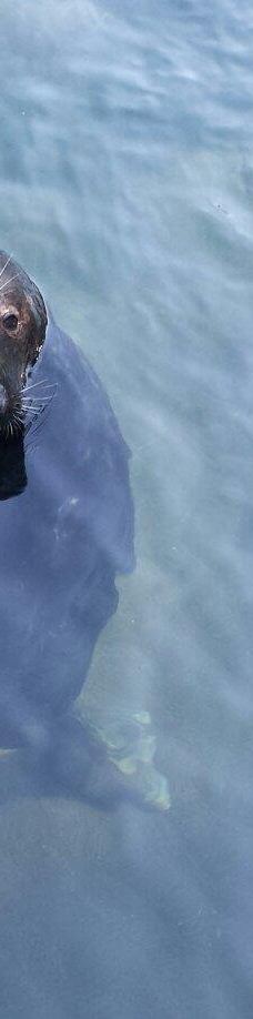 Zoo Kosice-科希策1区