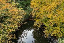 Baumwipfelpfad Bad Harzburg景点图片
